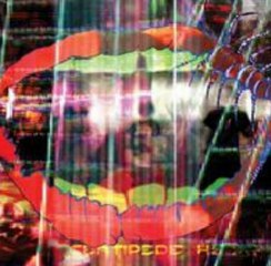 ANIMAL COLLECTIVE CENTIPEDE HZ ALBUM DOWNLOAD