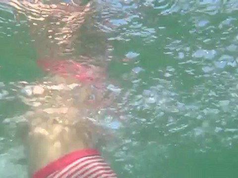 Tentative de nage synchronisée...