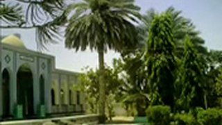 Shrine Qalandar baba aulia
