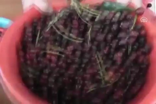 Diyabet için şifa kaynağı