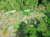 'Uncontacted' tribe found in Brazil's Amazon