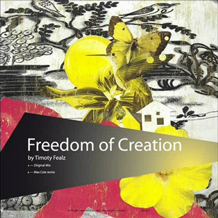 Timoty Fealz-Freedom of Creation (Max Cole Remix)