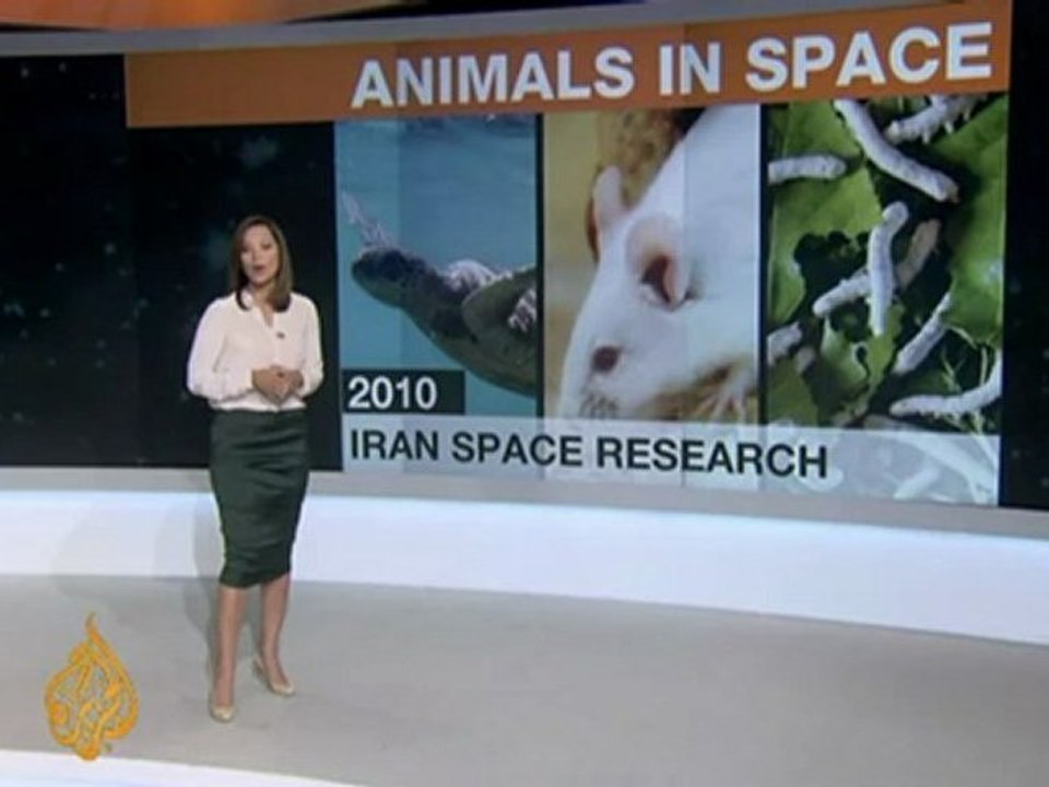 Iran to send a monkey into space