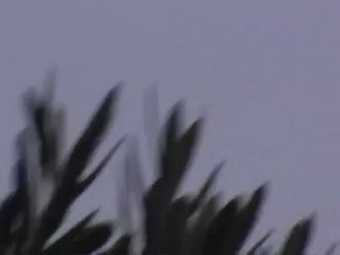 Syria فري برس حماه المحتلة تحليق الطيران المروحي في سماء سهل الغاب 21-8-2012