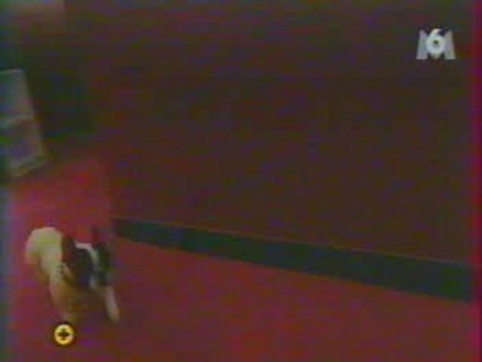 Raymond rencontre Lynda Lemay