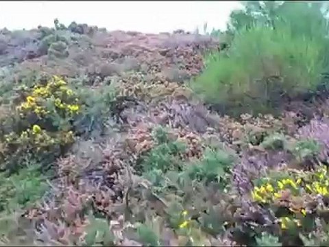 randonnée avec mario de plèneuf-val-andré erquy -sables d'or les pins allez retour pas belle la vie