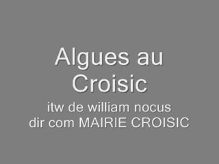 ALGUES CROISIC