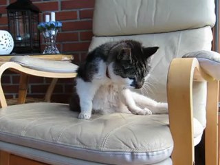 Mille, 21. aug  2012