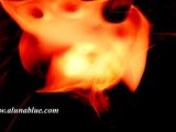 Fluid Motion 02 clip 07 - Stock Video - Stock Footage - Video Backgrounds