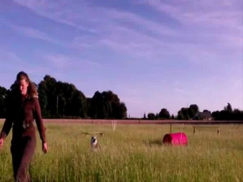 Tosca agility 22.08.12