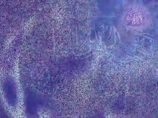 103. Suratul Asr Wonderful Voice -