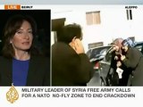Al Jazeera's Rula Amin reports on Syria