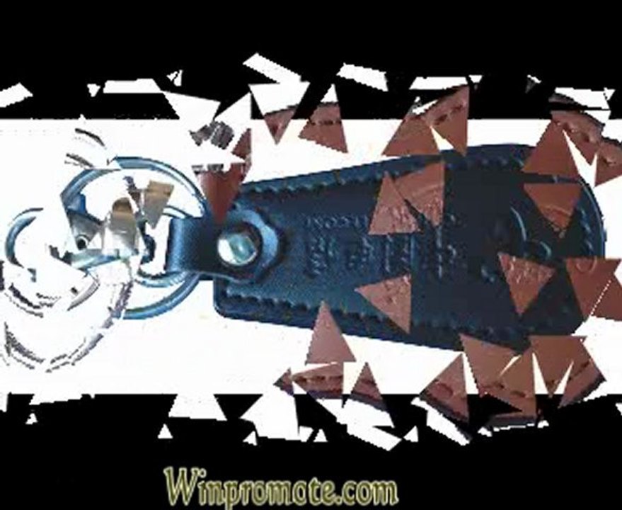 Promotional Keychains and Logo Promotional Key Chains on Winpromote.com