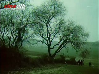 PARTIZANI I VOGEL VELO