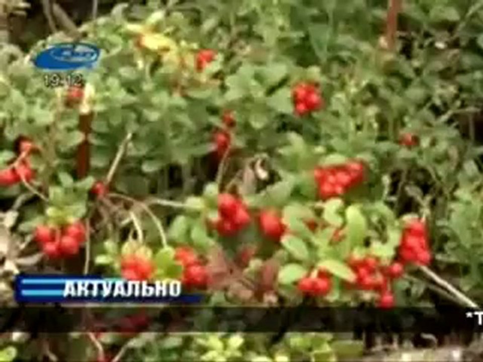 Актуально 22.08.2012