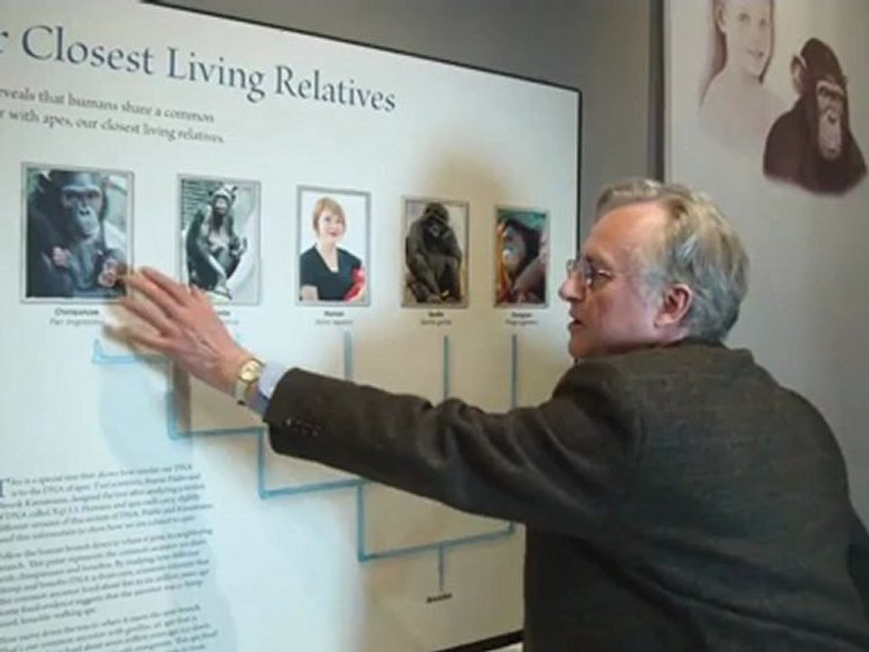 Why are there still Chimpanzees  by Richard Dawkins