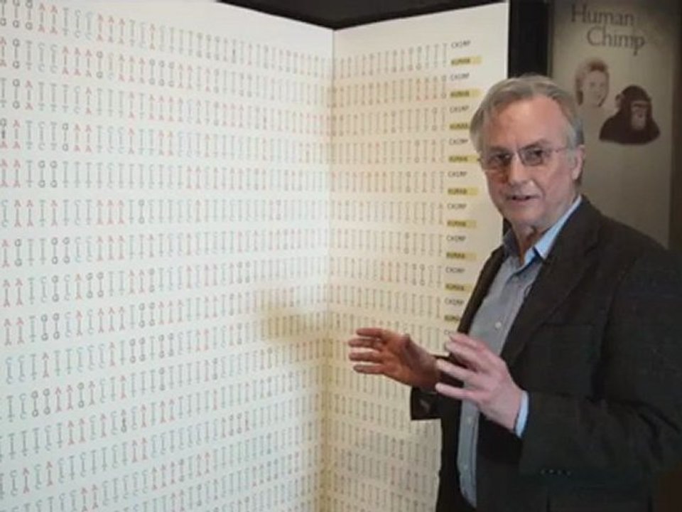 Comparing the Human and Chimpanzee Genomes by Richard Dawkins