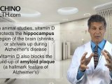 Vitamin D Helps Prevent Alzheimer's Disease