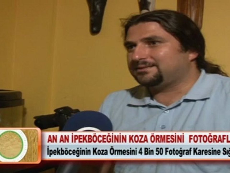 AN AN İPEKBÖCEĞİNİN KOZA ÖRMESİNİ  FOTOĞRAFLADI