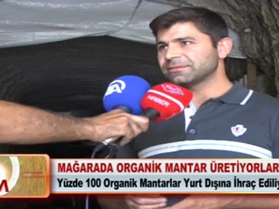 MAĞARADA ORGANİK MANTAR ÜRETİYORLAR