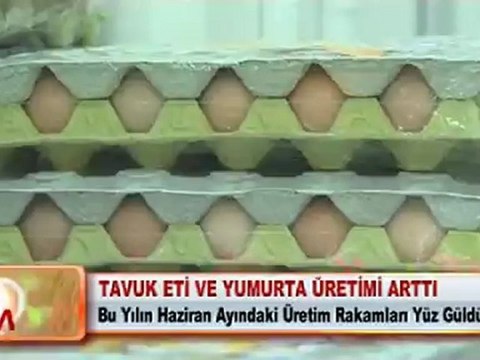 TAVUK ETİ VE YUMURTA ÜRETİMİ ARTTI