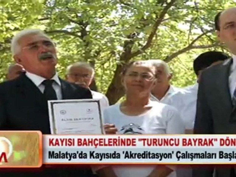 KAYISI BAHÇELERİNDE ''TURUNCU BAYRAK'' DÖNEMİ