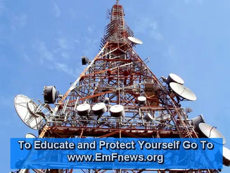 Cell Phone Dangers