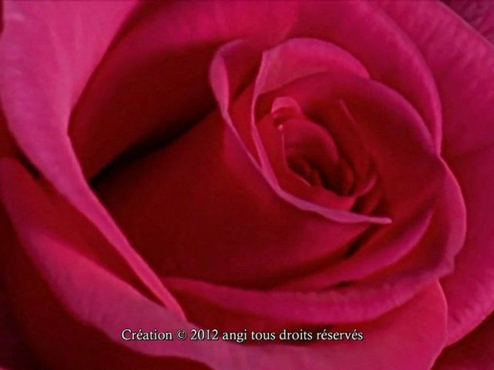 A Ma Mamina Chérie Delyza