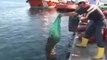 3,5 ton kaçak midye ele geçirildi