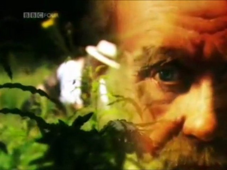 Darwin's Struggle (The Evolution of 'The Origin Of Species')