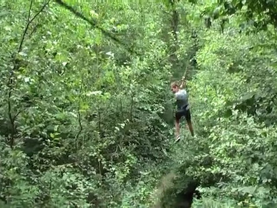 Actors vs wild