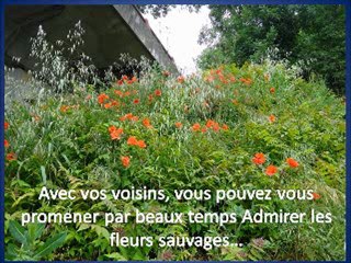 Habitat social et solidaire