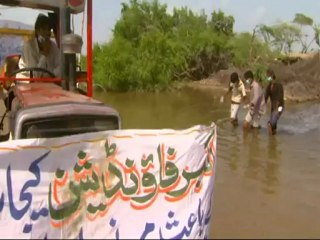 Pakistan floods ravage livestock