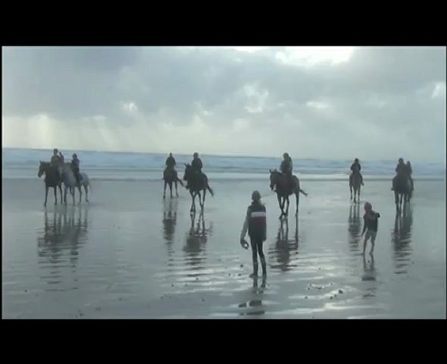 WAVES COWBOYS