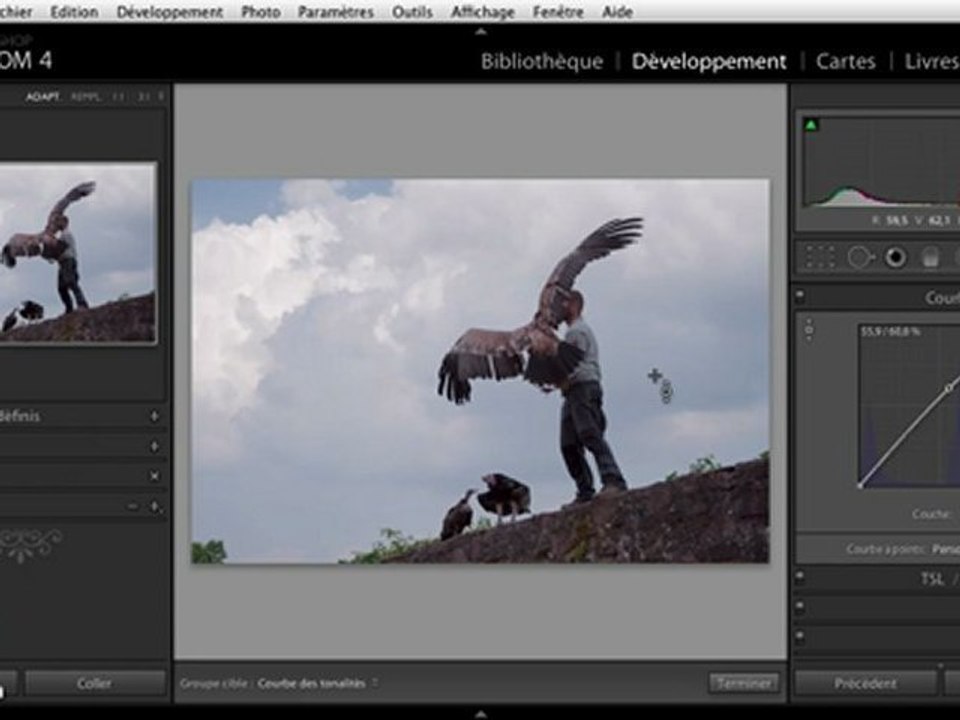 Adobe Lightroom 4 : Courbe des tonalités