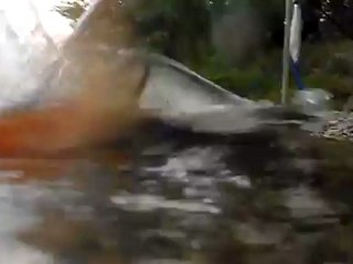 Mise au sec d'un petit barbeau, vue dans la flotte!