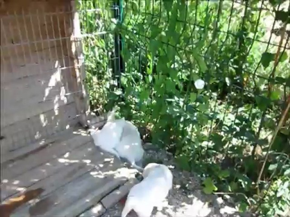 Les H à Blennes plage