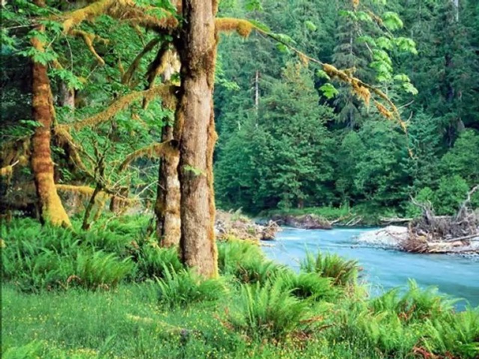 Aşağı Çayırlı Köyü