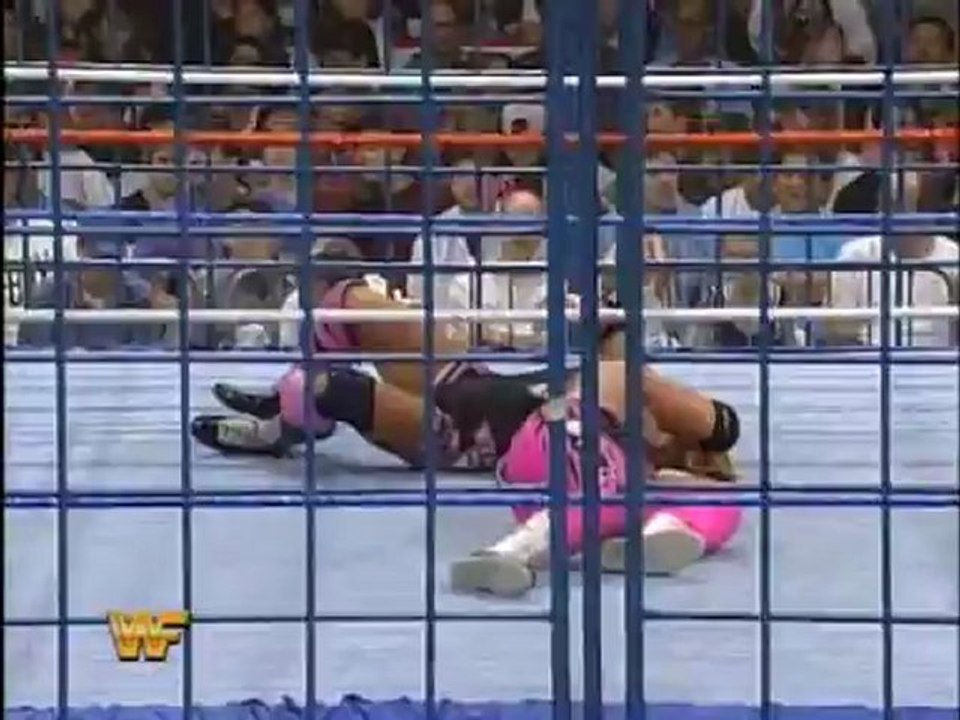 Bret Hart vs Owen Hart (WWF SummerSlam 1994)