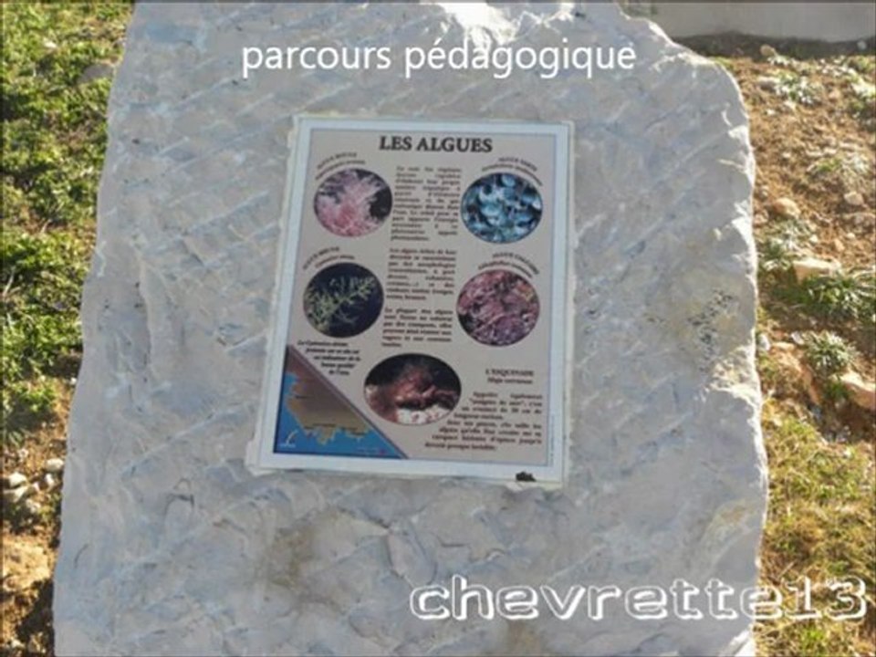 Le port de Carro 2