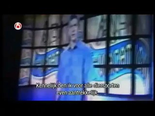 Коты и собаки