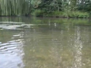 Petit brochet de l'Eure