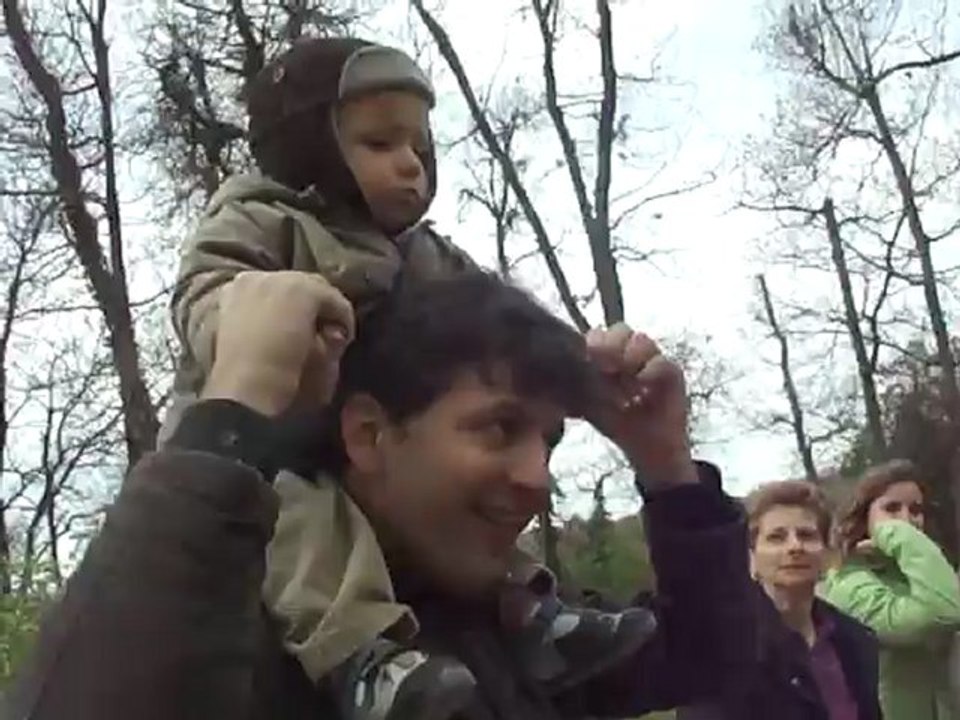 Je parle aux loups...