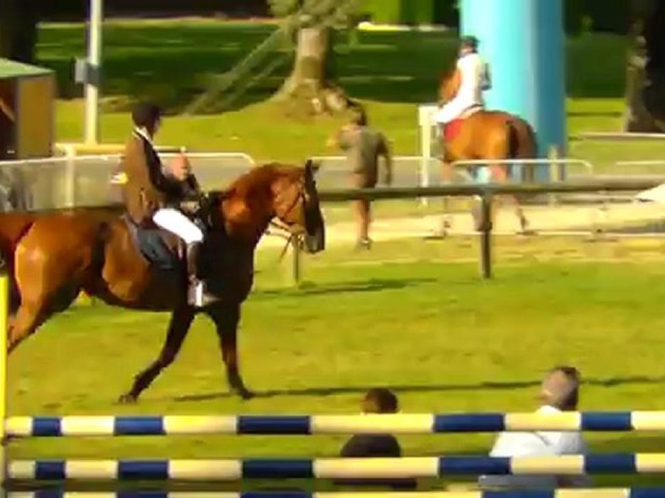 ramalia 1M05 samedi  chateaubriant