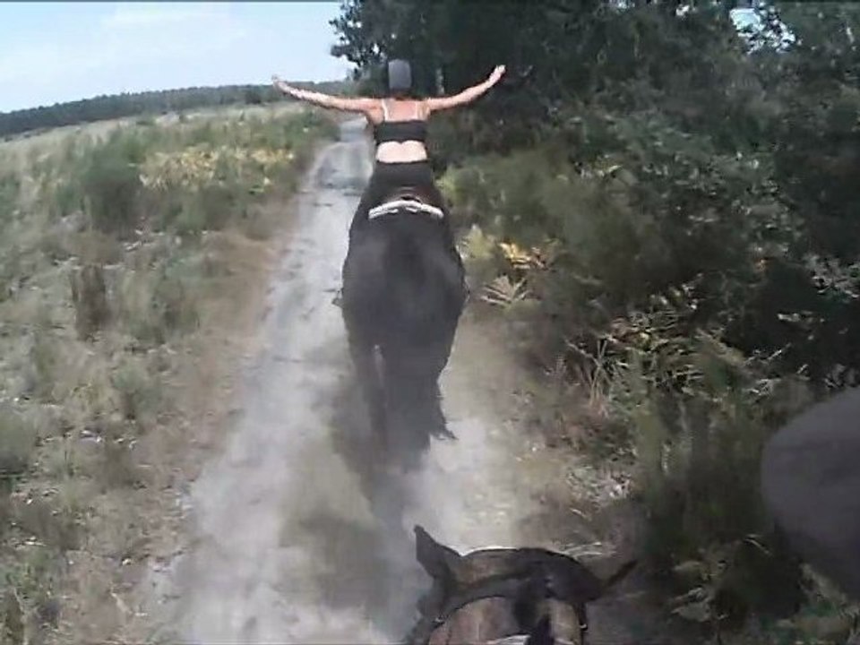 2ème partie : Mini rando aout 2012 : 22 km (Pessac; Martignas, Saint Jean d'Illac)