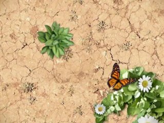 Window Restoration Gold Coast