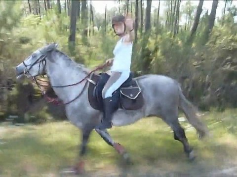 3ème partie : Mini rando aout 2012 : 22 km (Pessac; Martignas, Saint Jean d'Illac)