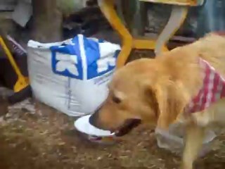 Εν ώρα εργασίας