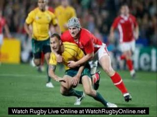 view Bledisloe Cup rugby online live stream