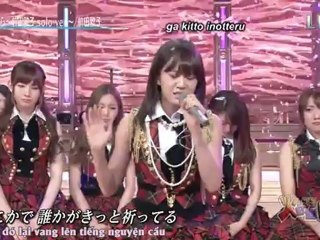 mùa hoa anh đào nở solo